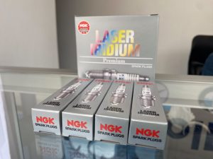 WhatsApp Image 2022-10-20 at 4.10.01 PM (1)